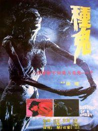 种鬼电影,诡秘轮回，生死边缘的惊悚之旅