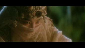 借种香港电影完整版,一场跨越时空的奇幻之旅